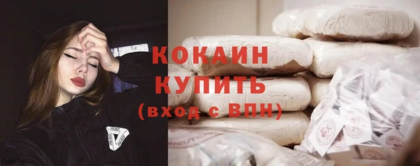 шишки Мегион
