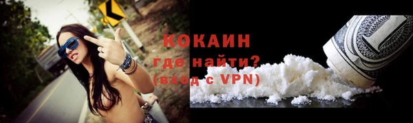 шишки Мегион