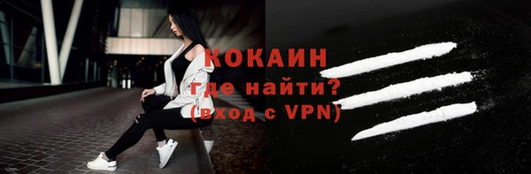 шишки Мегион