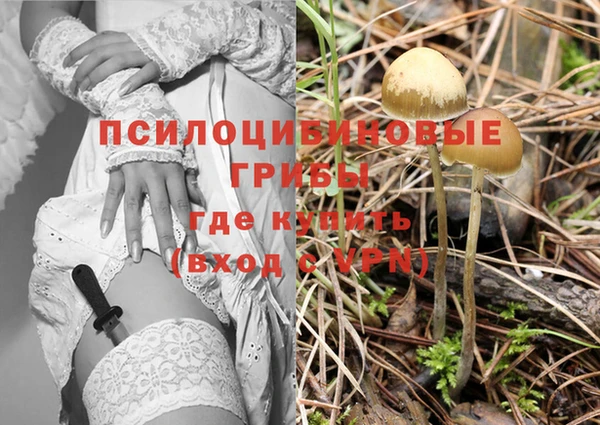 кокаин Медвежьегорск