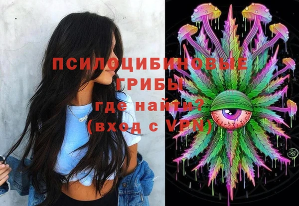 шишки Мегион
