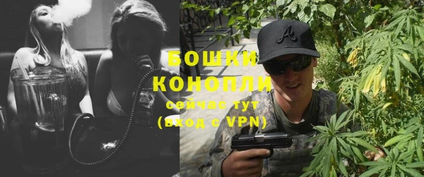 шишки Мегион