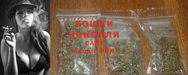 шишки Мегион