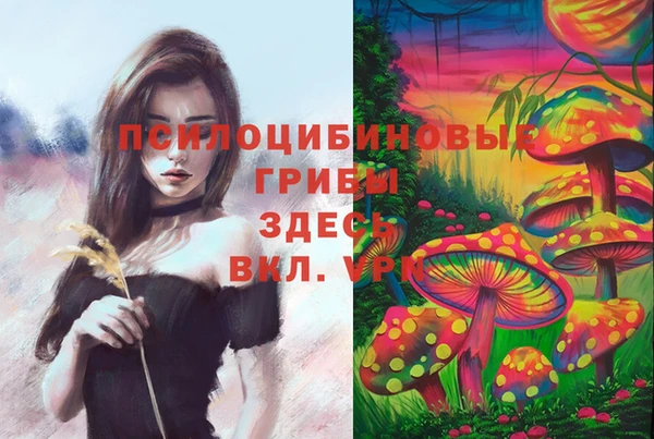 шишки Мегион